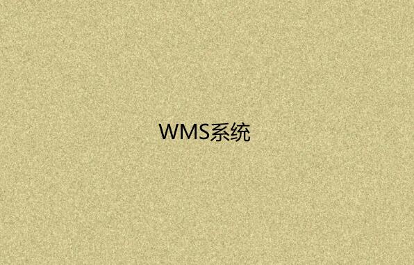 倉庫管理系統(WMS) 倉庫管理系統(WMS)