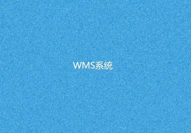 wms倉庫管理軟件哪個好用？這家用過都說好